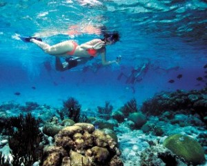 Barrier Reef Snorkel Adventure