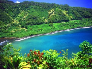 The road to Hana - Excursions in Maui